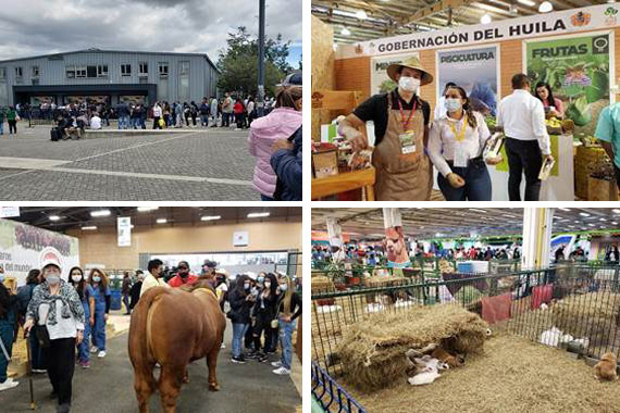 자료: KOTRA 보고타 무역관 직접 촬영. 박람회에 대한 관심과 Huila 지방정부 부스 및 가축 전시.